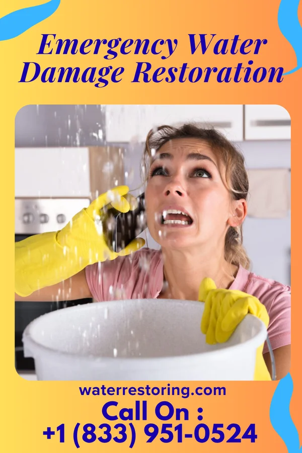 Emergency Water Damage Restoration in Mount Holly, NC