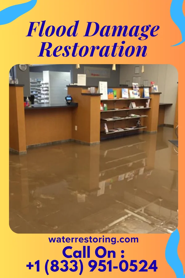 Flood Damage Restoration in Mount Holly, NC